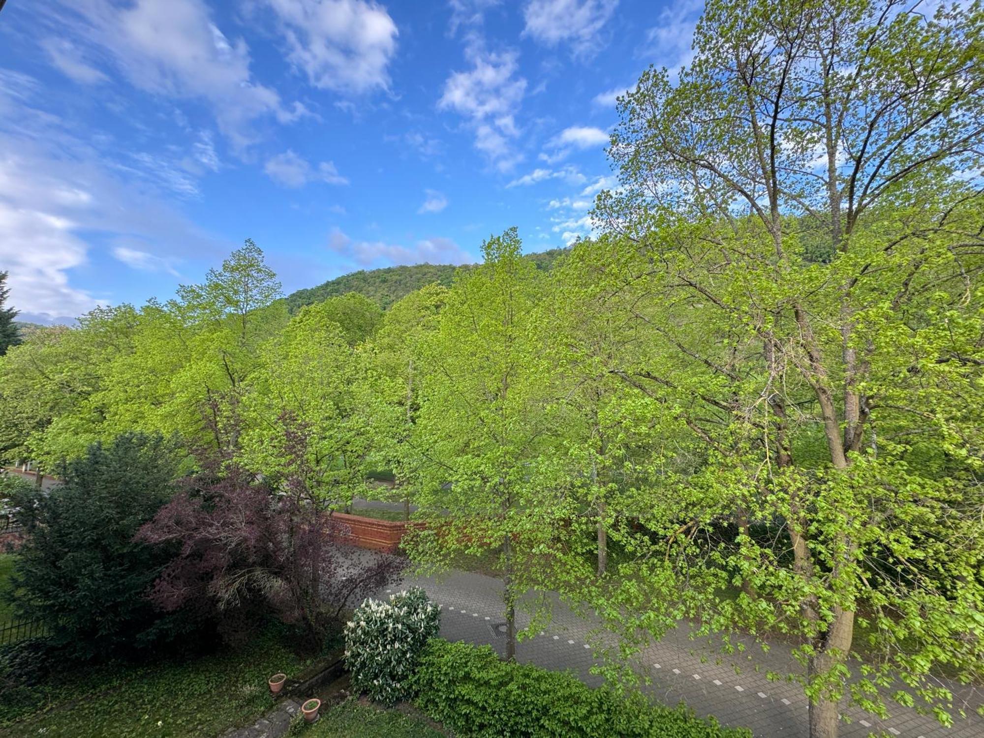 Apartment Villa Elisa Bad Kreuznach Exterior foto